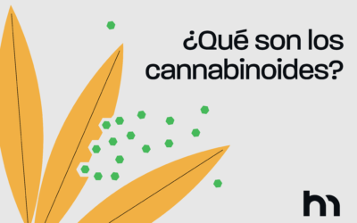¿Qué son los cannabinoides?